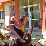 Sveti Georgi