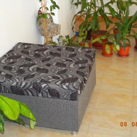 Guest house Sveti Georgi 2*