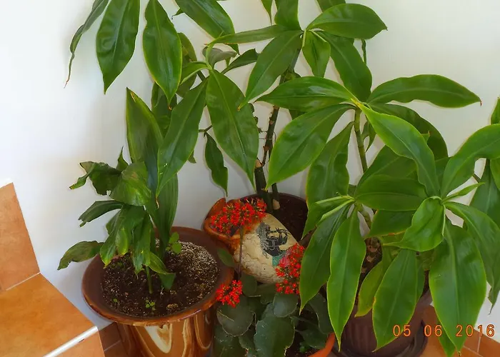 Gasthuis Sveti Georgi 2*